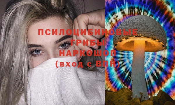 стафф Гусиноозёрск